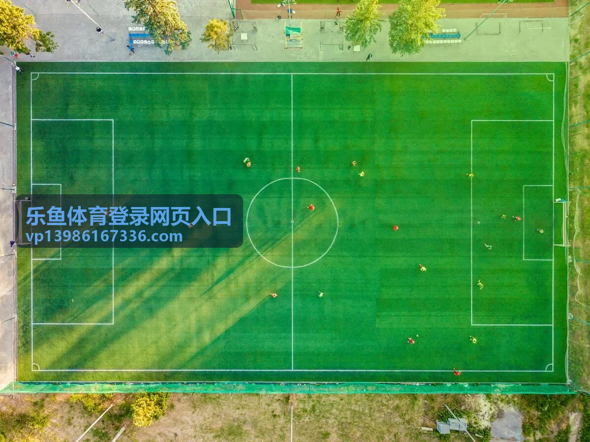 乐鱼体育登录网页入口极速响应示意